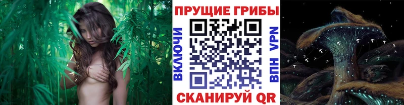 Псилоцибиновые грибы мухоморы Учалы