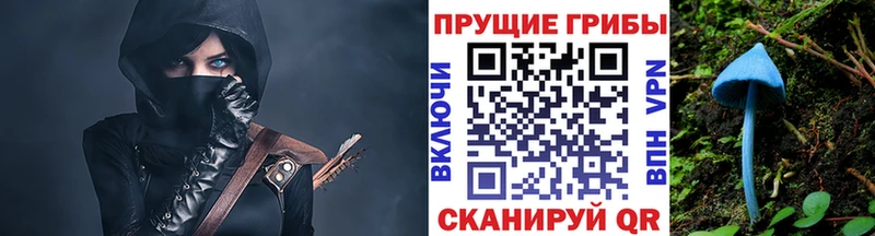 закладка  блэк спрут ССЫЛКА  Псилоцибиновые грибы мухоморы  Учалы 
